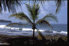 Costa Rica-Caribbean Coast-Caribbean Adventure Ride
